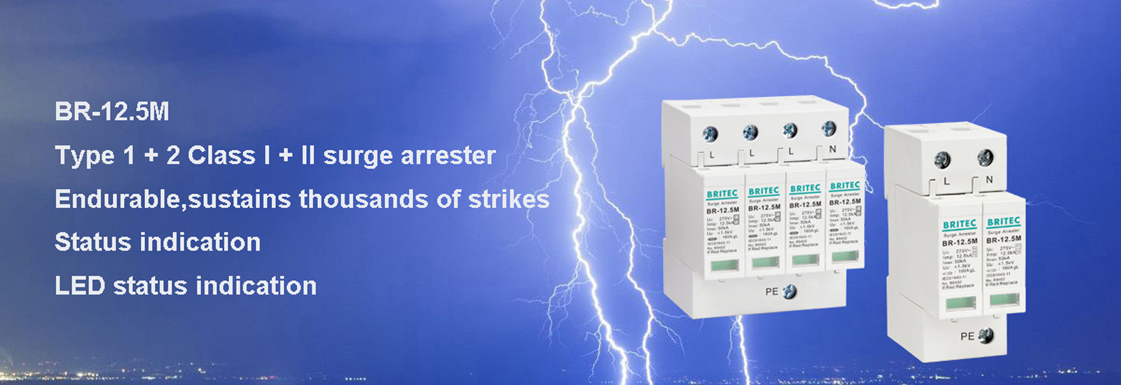 품질 큰 파도 보호 장치 공장